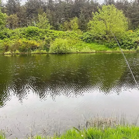 6 Person In Toftlund-by Traum *