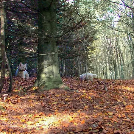 6 Person In Toftlund-by Traum Semesterbostad