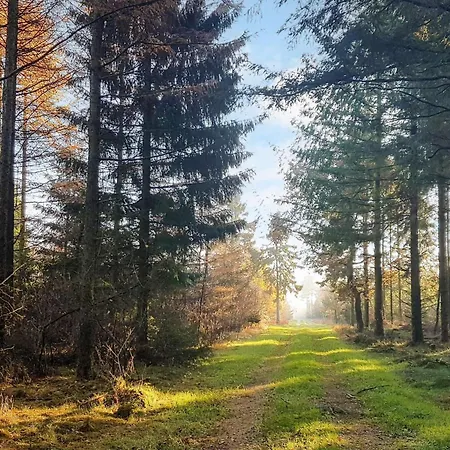 Semesterbostad 6 Person In Toftlund-by Traum